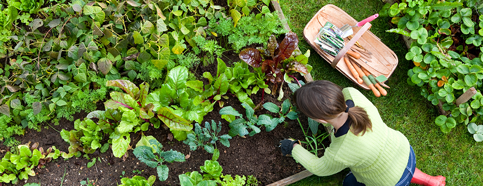 JCD---Blog-Post-ImagesFarmersMarket