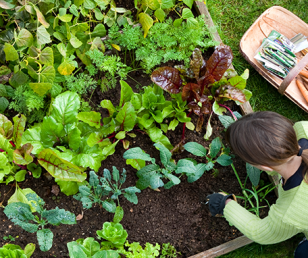 What is Jewell's Farmers Market?